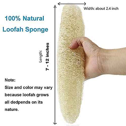 Natural Organic Loofah Sponge - Pack of 2 for Gentle Bathing at Lowest Price 3