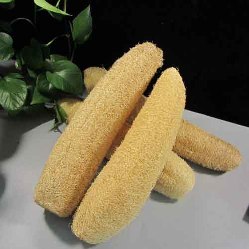 Natural Organic Loofah Sponge - Pack of 2 for Gentle Bathing at Lowest Price 4