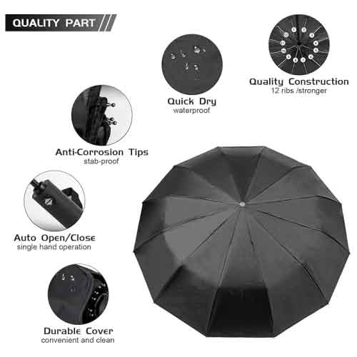 2-Fold Auto Open-Close Umbrella - 21 Inch at Lowest Price 4
